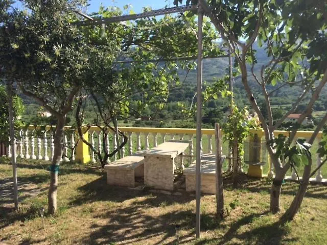 Apartments Brankica Draga Bascanska Croatia